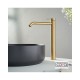 Cora Cosmo 316L, Gold Brushed PVD 6113-211