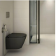 Rak Ceramics Feeling, Κρεμαστή Λεκάνη Rimless + Kάλυμμα Soft Close, Black Matt, 52X36 cm, RST23504A